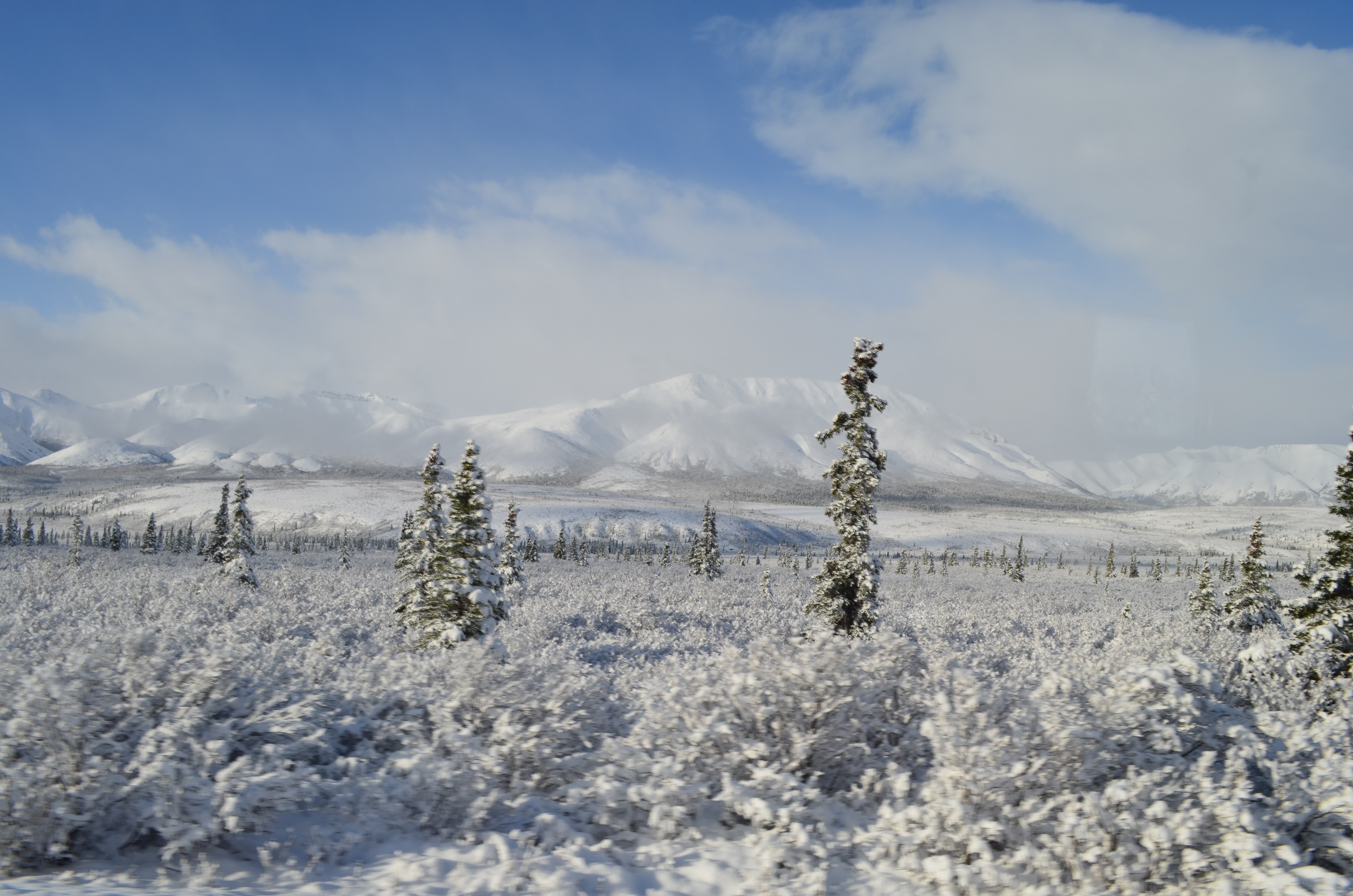 ./2017/08 - Alaska Cruise/03 - Denali/DSC_0222.JPG